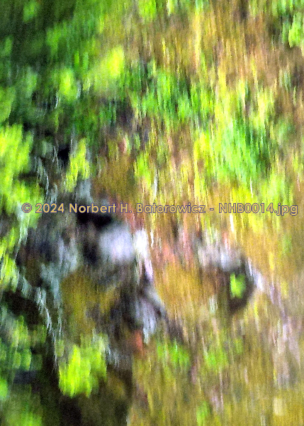 NHB0014 - Bild ohne Titel - Acryl auf Leinwand