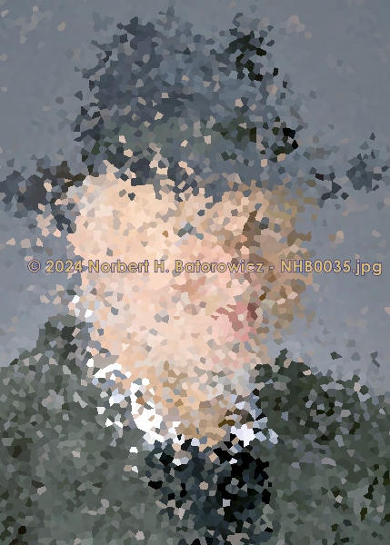 NHB0035 - Bild ohne Titel - Digital erstelltes Bild - 2024